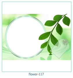 fiore cornice 117