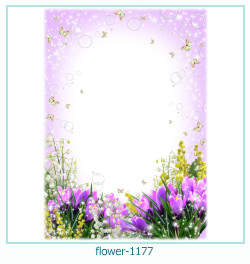 fiore Cornice 1177