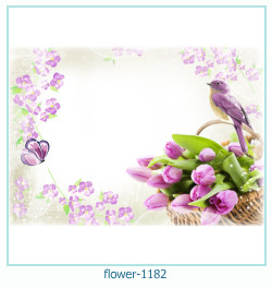 fiore Cornice 1182