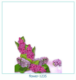 fiore Cornice 1235