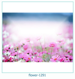 cornice per foto fiore 1291
