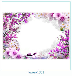 fiore Cornice 1353