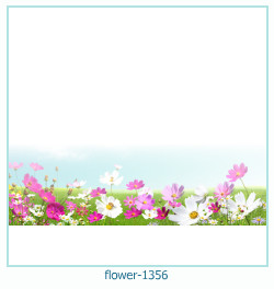 fiore Cornice 1356