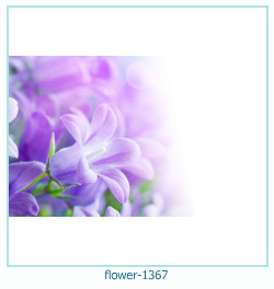 fiore Cornice 1367