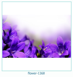 fiore Cornice 1368