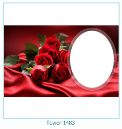 fiore Cornice 1483