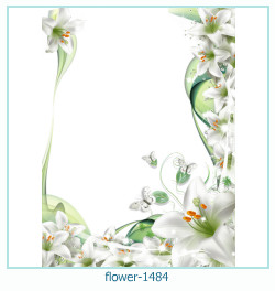 fiore cornice 1484