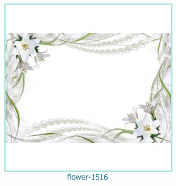 fiore cornice 1516