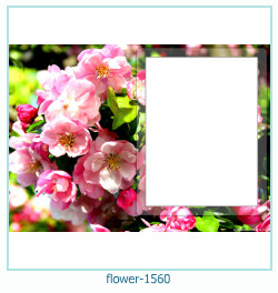 fiore cornice 1560
