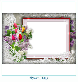 fiore cornice 1603