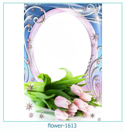 fiore cornice 1613