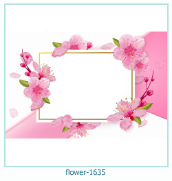 fiore cornice 1635