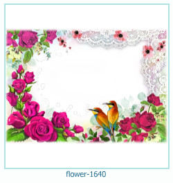 fiore cornice 1640