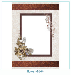 fiore cornice 1644