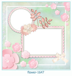 fiore cornice 1647