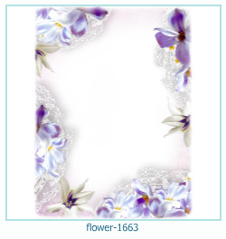 fiore cornice 1663