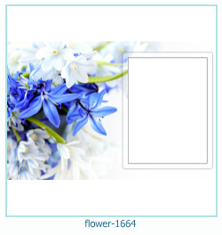 fiore cornice 1664