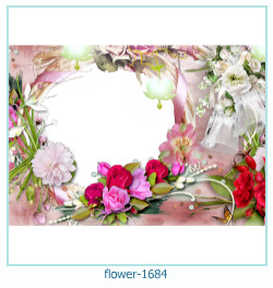 fiore cornice 1684