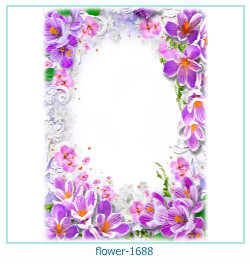 fiore cornice 1688