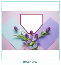 fiore cornice 1697