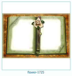 fiore cornice 1725