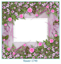 cornice per foto di fiori 1749