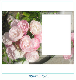fiore Cornice 1757