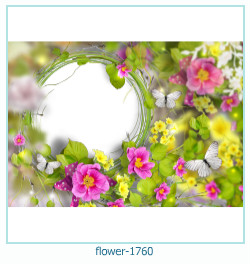 fiore cornice 1760
