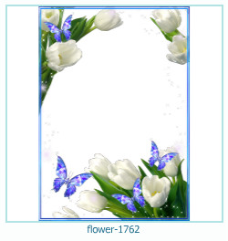 fiore cornice 1762