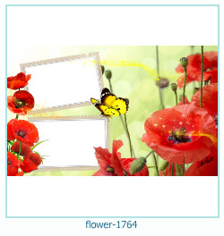 fiore cornice 1764
