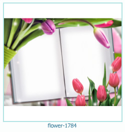 fiore cornice 1784
