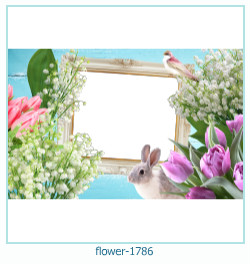 fiore cornice 1786