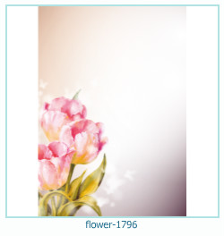 fiore cornice 1796