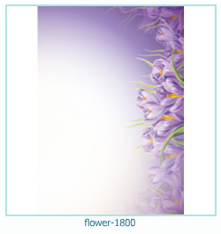 fiore Cornice 1800