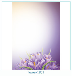 cornice per foto di fiori 1801