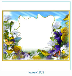 fiore cornice 1808
