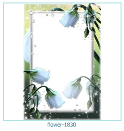 fiore cornice 1830