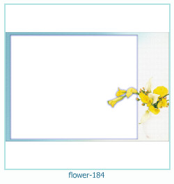 fiore cornice 184