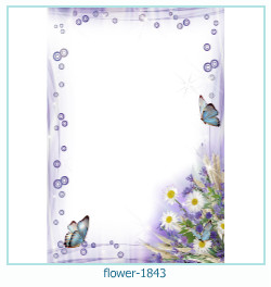 fiore cornice 1843