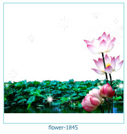 fiore cornice 1845