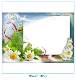 fiore cornice 1850