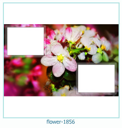 fiore cornice 1856