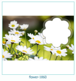 fiore cornice 1860