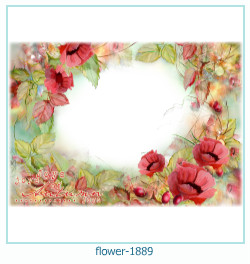fiore cornice 1889