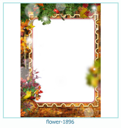 fiore cornice 1896