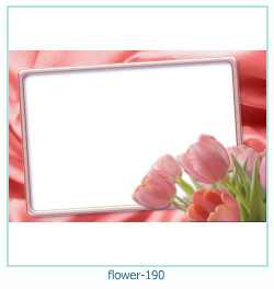 fiore cornice 190