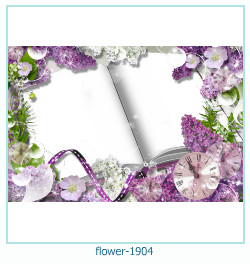 fiore cornice 1904