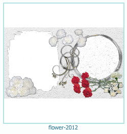 fiore cornice 2012