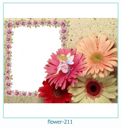 fiore cornice 211