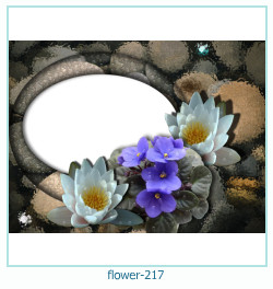 fiore cornice 217